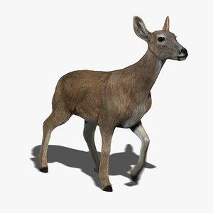 doe deer fur animation ma