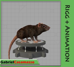 rat rattus animation 3d fbx