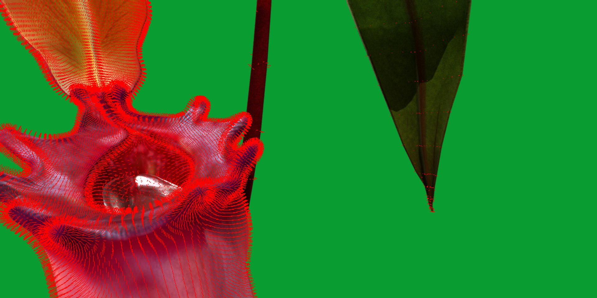 3D model Nepenthes Pitcher Plant https://p.turbosquid.com/ts-thumb/9W/Ys76yq/4v/nepenthes20/png/1753301087/1920x1080/fit_q87/9782a97be8cc5d22aa2ec55d015a26b014b92e1a/nepenthes20.jpg