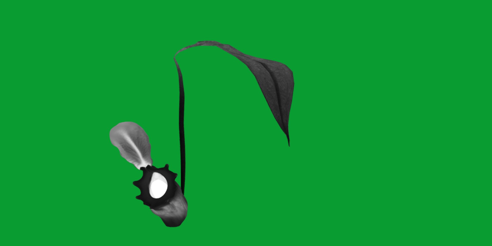 3D model Nepenthes Pitcher Plant https://p.turbosquid.com/ts-thumb/9W/Ys76yq/Rb/nepenthes14/png/1753301083/1920x1080/fit_q87/f5d55584e61b813abe2da85378958f9d1fd81eca/nepenthes14.jpg