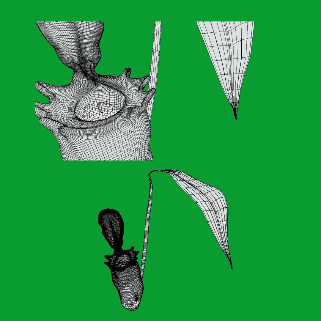 3D model Nepenthes Pitcher Plant https://p.turbosquid.com/ts-thumb/9W/Ys76yq/Ti/wire/png/1753301090/1920x1080/fit_q87/39d2af5291f31f5ec18670f8ba36ffd662e3881d/wire.jpg