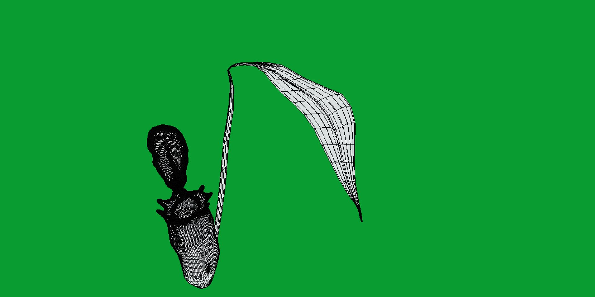 3D model Nepenthes Pitcher Plant https://p.turbosquid.com/ts-thumb/9W/Ys76yq/Wf/nepenthes17/png/1753301084/1920x1080/fit_q87/3f114269c7669379b697f6f8170e1c10bce8f034/nepenthes17.jpg