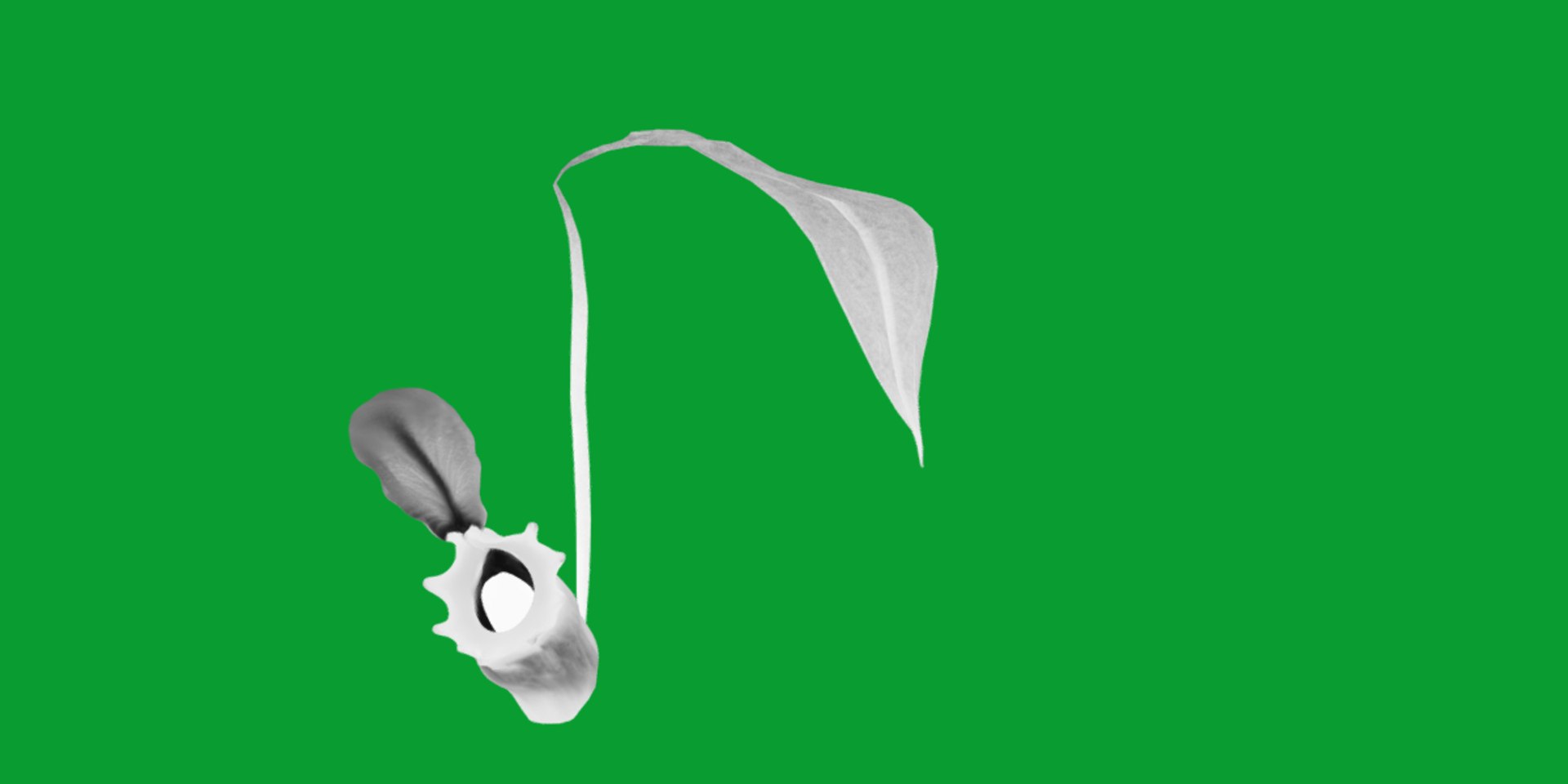 3D model Nepenthes Pitcher Plant https://p.turbosquid.com/ts-thumb/9W/Ys76yq/ZY/nepenthes12/png/1753301082/1920x1080/fit_q87/13f55f9b4c5f1db3785f58dd6418734afb80c4ef/nepenthes12.jpg