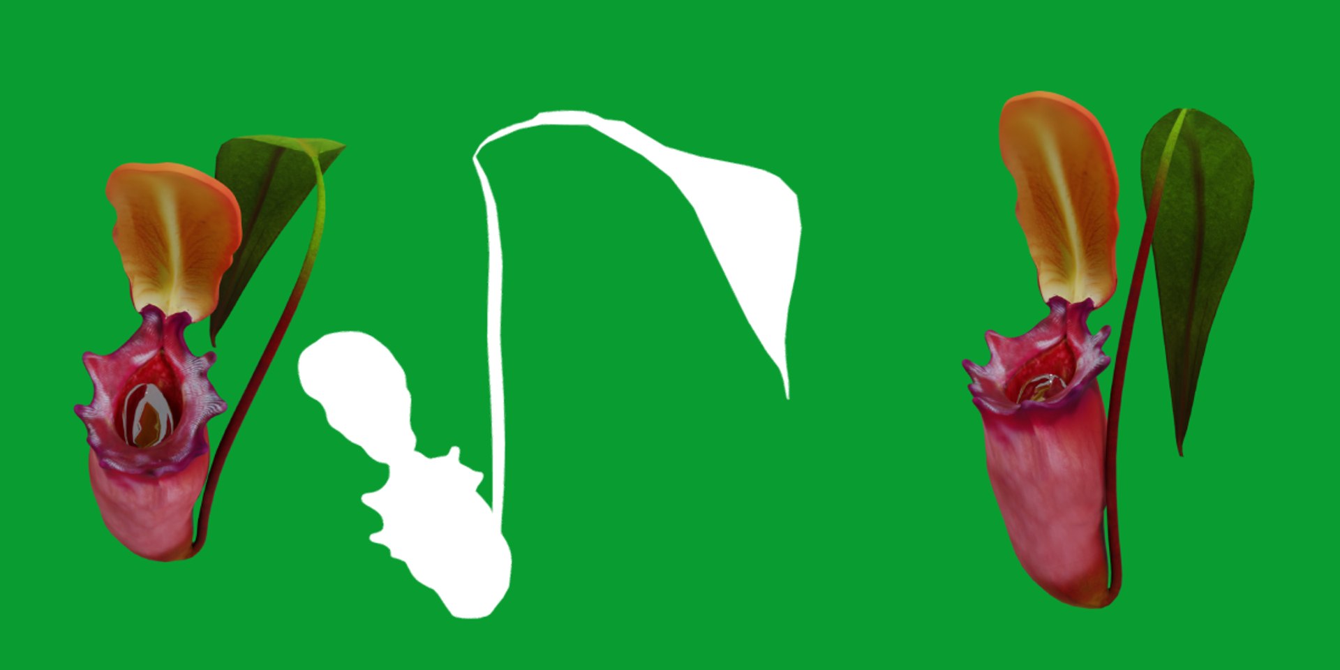 3D model Nepenthes Pitcher Plant https://p.turbosquid.com/ts-thumb/9W/Ys76yq/lR/nepenthes11/png/1753301081/1920x1080/fit_q87/f092c9c10f55b47881d5ffc4b17088832dfaec72/nepenthes11.jpg