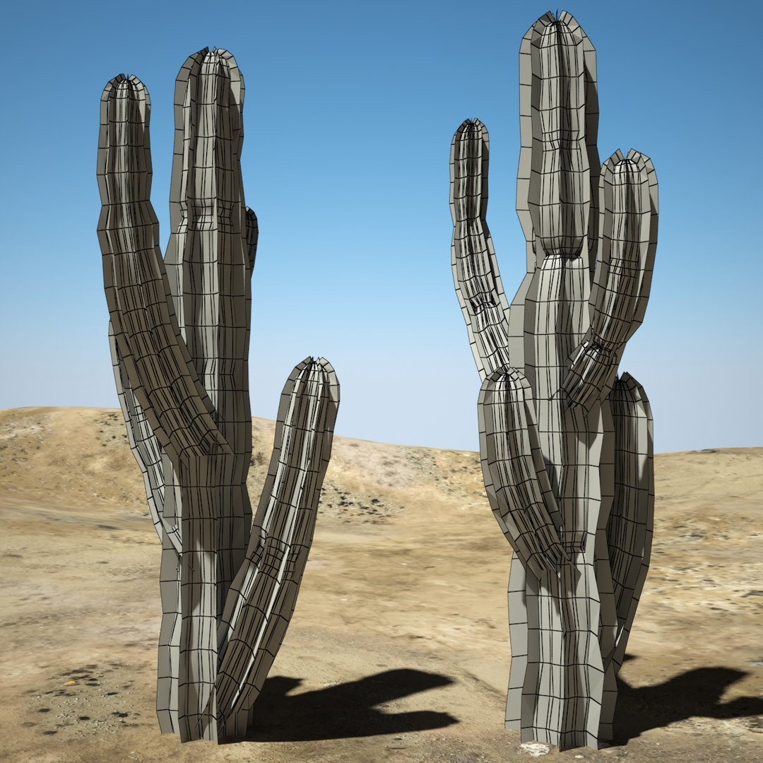 3d desert cactus https://p.turbosquid.com/ts-thumb/9W/dBRi4s/CMoI7x0m/cccccccccccccccccccccc/jpg/1431249630/1920x1080/fit_q87/bc4e4c175bf27bc469ef00955281ddef091473e3/cccccccccccccccccccccc.jpg