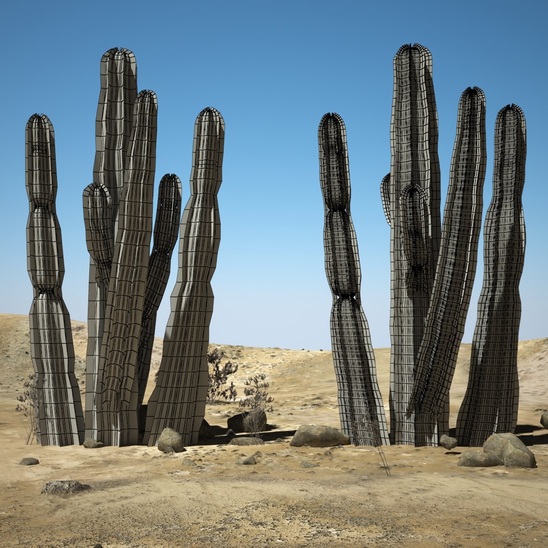 3d desert cactus https://p.turbosquid.com/ts-thumb/9W/dBRi4s/i8oUCKtk/cccccccccccccccccccc/jpg/1431249630/1920x1080/fit_q87/46fa4eb69bdb744d184964a18d156a9193e84936/cccccccccccccccccccc.jpg