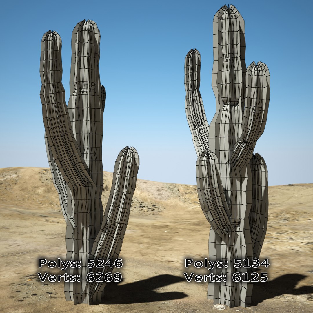 3d desert cactus https://p.turbosquid.com/ts-thumb/9W/dBRi4s/tR2CHwz7/cccccccccccccccccccccccc/jpg/1431249630/1920x1080/fit_q87/1ad55d226b11396ea73b3d7b67420112a8b6d355/cccccccccccccccccccccccc.jpg