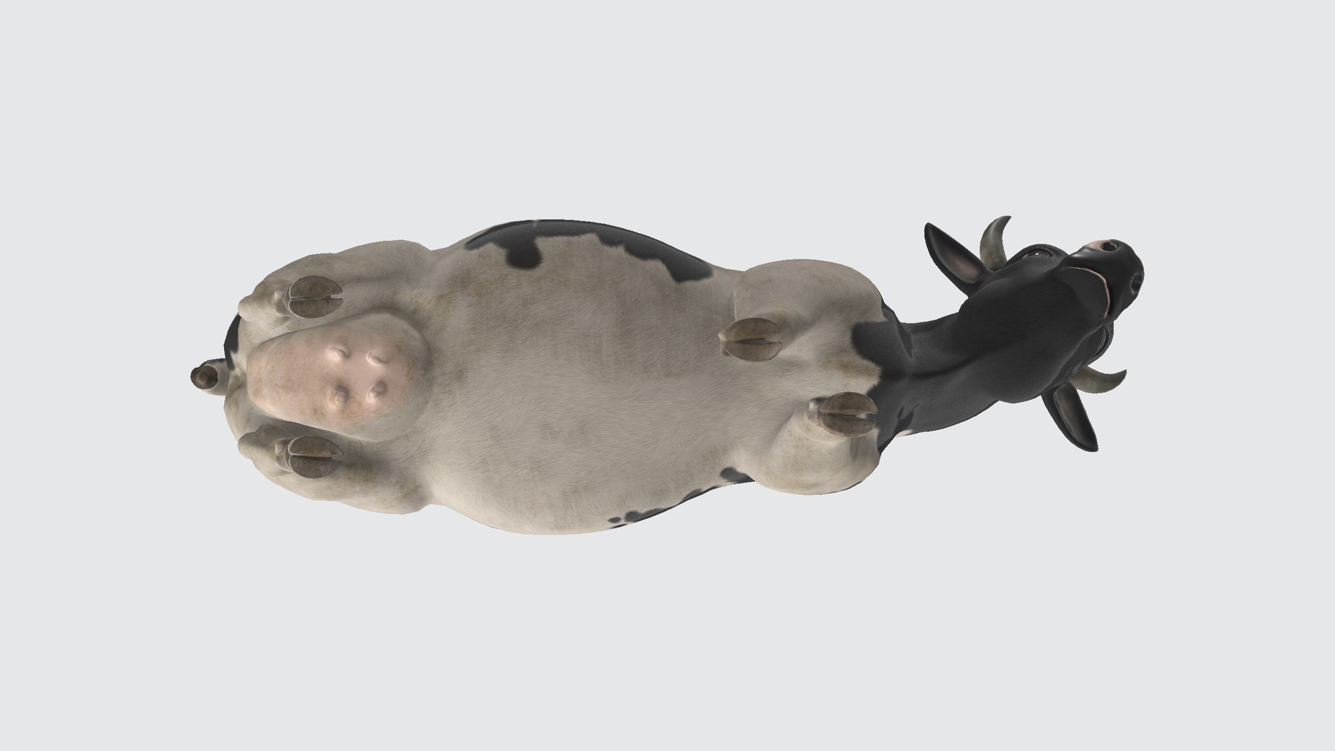 Cow Model - TurboSquid 2306336