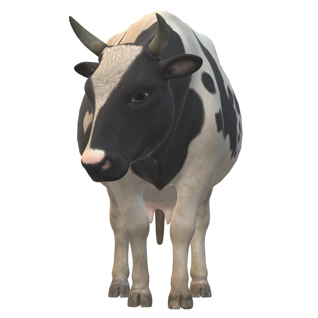 Cow Model - TurboSquid 2306336