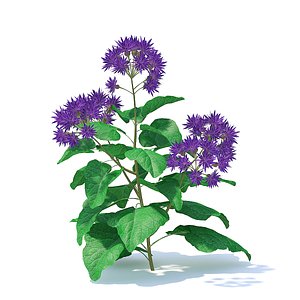 Thistle 3D Model