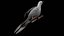 Fully Rigged Textured and Animated Pigeon Bird 3D model