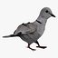 Fully Rigged Textured and Animated Pigeon Bird 3D model