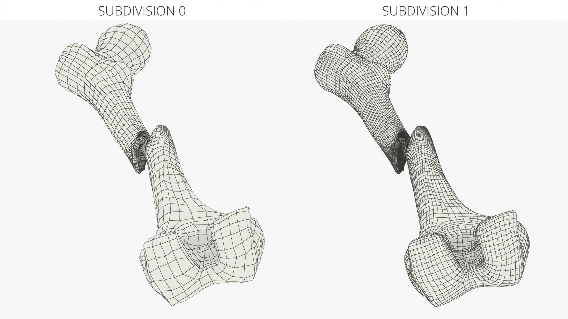 3D Femur Bone with Complete Fracture https://p.turbosquid.com/ts-thumb/9W/uOJLFo/Il/femur_bone_with_complete_fracture_009/jpg/1782799962/1920x1080/fit_q87/ba4ccab01960c142ecc02a7b5587d1632b02b833/femur_bone_with_complete_fracture_009.jpg