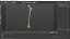 Femur Bone with Complete Fracture