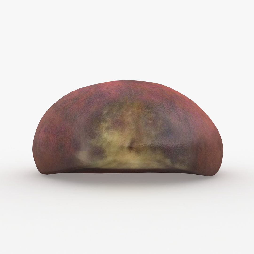 realistic chestnut 3d 3ds