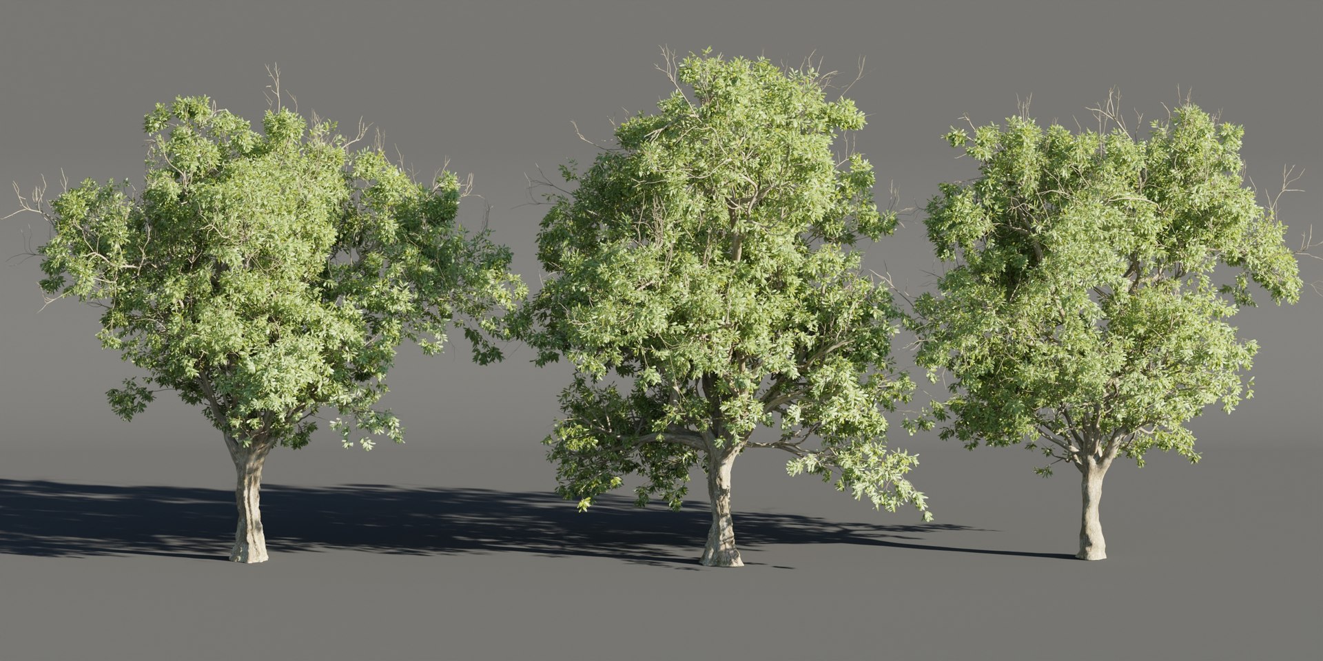 3D Summer Trees Collection Vol 226-Blender-3dmodel - TurboSquid 2210611