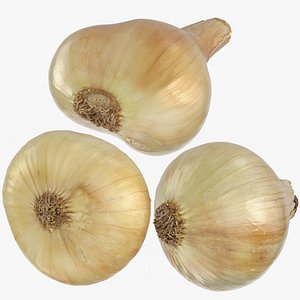 3D yellow onions 02 model