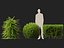 HighpolyLowPoly - Lonicera nitida - caprifoglio