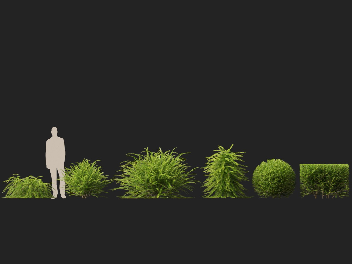 HighpolyLowPoly -  Lonicera nitida - box honeysuckle 3D model https://p.turbosquid.com/ts-thumb/9X/OrQRA5/Lo/loniceranitida012/jpg/1743520281/1920x1080/fit_q87/e45d6f77402e2ba3a1f38b552a48fc6ff362f11e/loniceranitida012.jpg