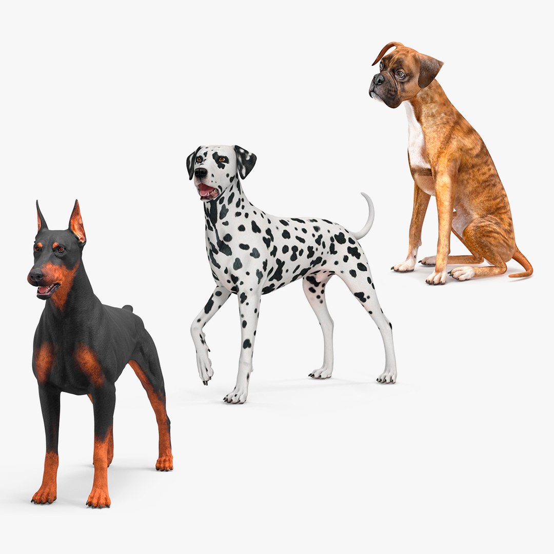 Dogs Collection 2 3D model preview