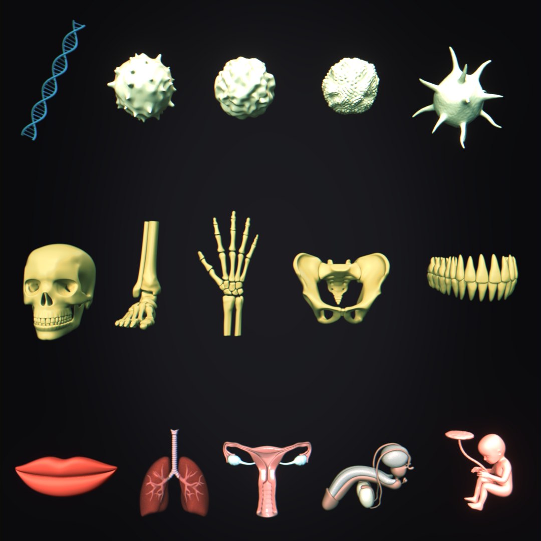 blend 3D model https://p.turbosquid.com/ts-thumb/9X/ZvLhTc/SN/i/jpg/1772185726/1920x1080/fit_q87/b71ab9eea09556744b1b759bf09aa8cc87c2621c/i.jpg