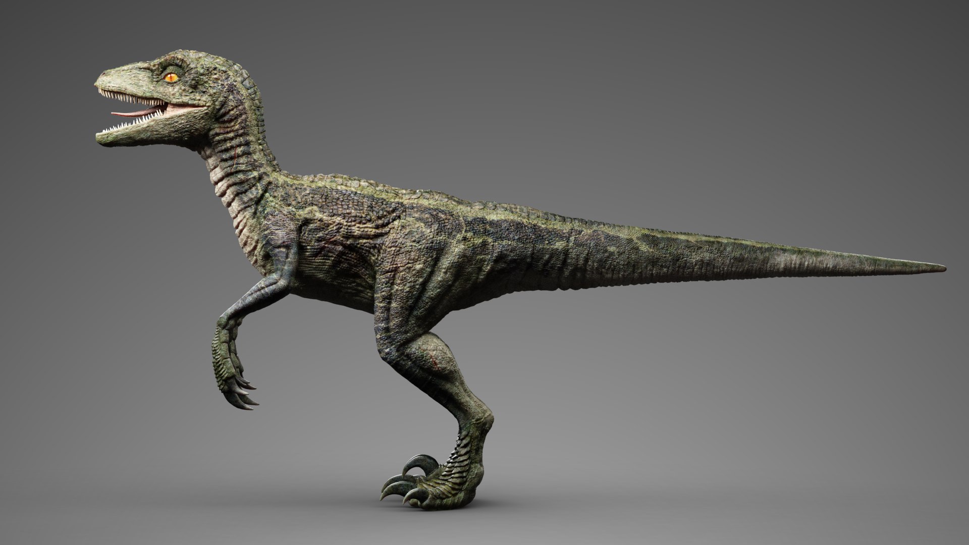 3d Model Velociraptor - Turbosquid 1447425