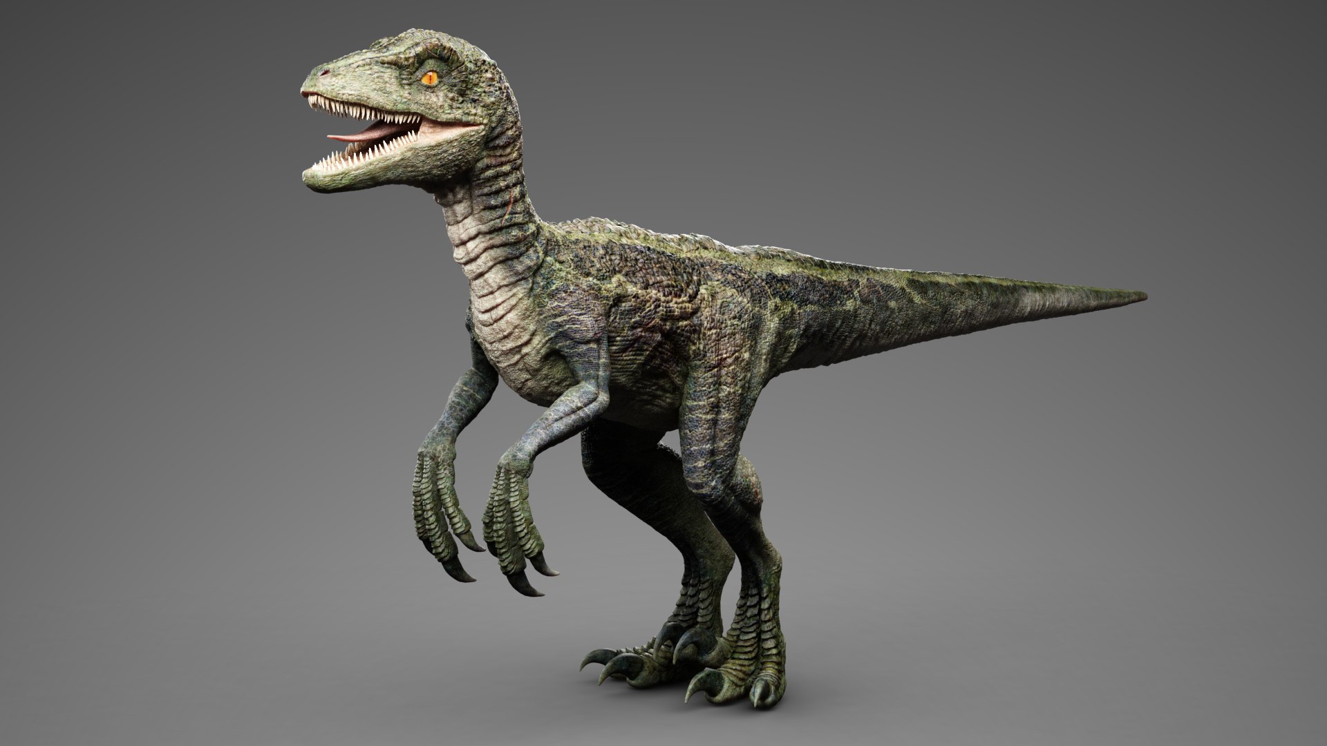 3D Model Velociraptor - TurboSquid 1447425