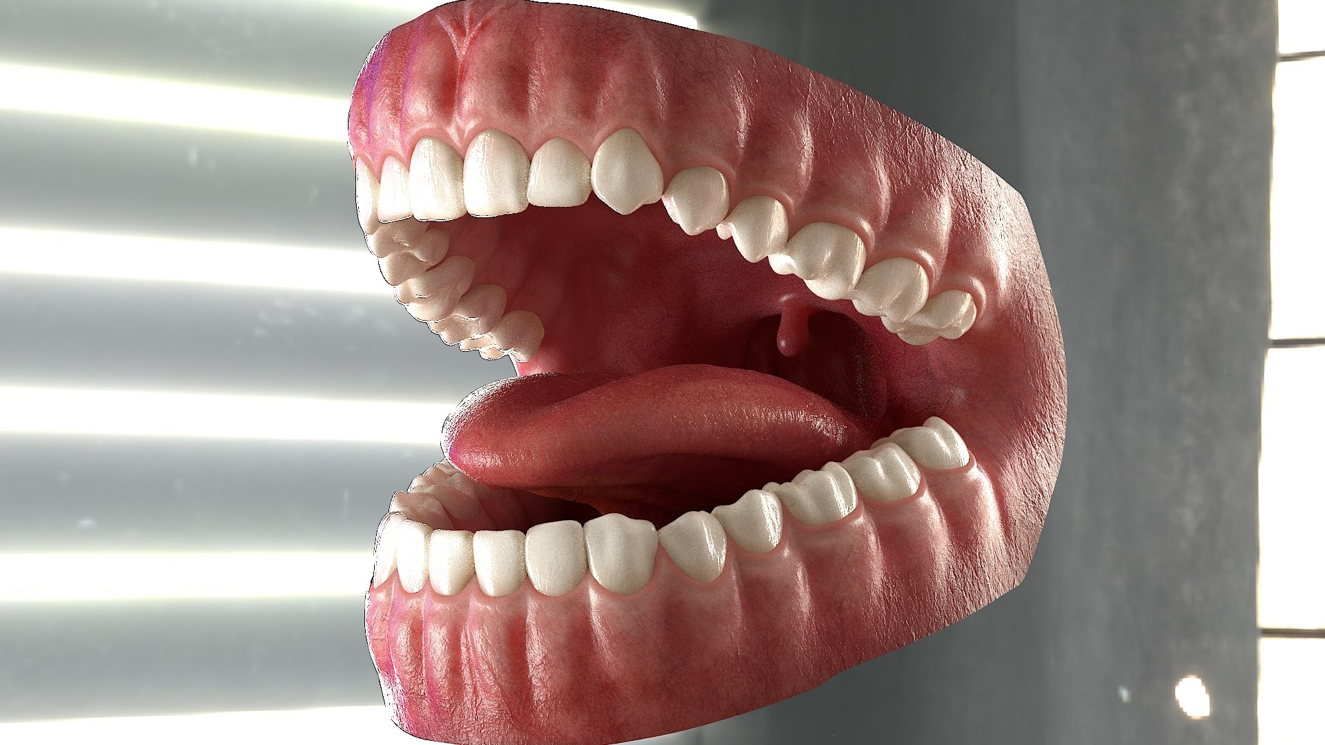 Realistic Human Mouth Anatomy 3D Model - TurboSquid 1995422