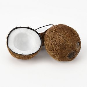 realistic coconut real fruit 3d obj