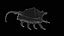 Strombidae Lambis Scorpius Indomaris Seashell Remastered