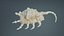 Strombidae Lambis Scorpius Indomaris Seashell Remastered