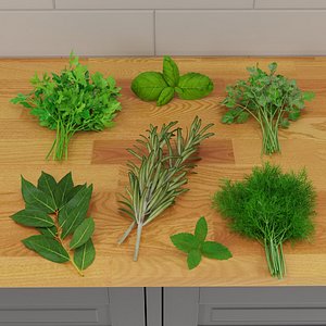 Spice Herbs Collection 3D model