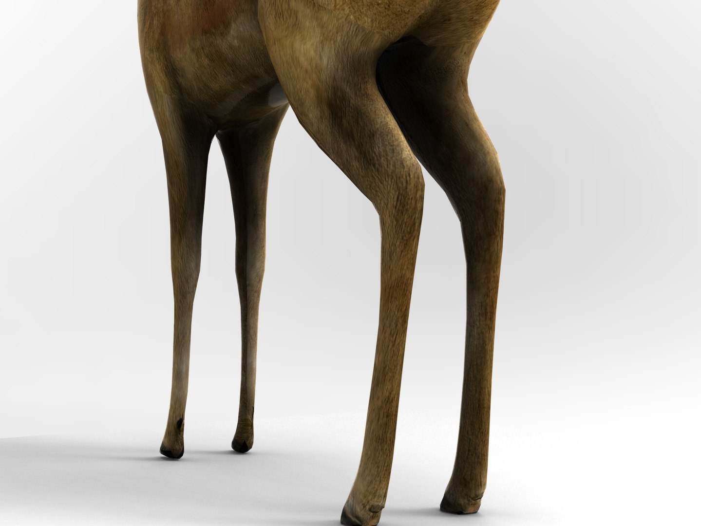 3d deer rigged model https://p.turbosquid.com/ts-thumb/9Y/SWpSoF/6cEC0LN3/deer_rigged.393/jpg/1457418826/1920x1080/fit_q87/6889b891183e95f63421be21ce13e18926fcd3e3/deer_rigged.393.jpg