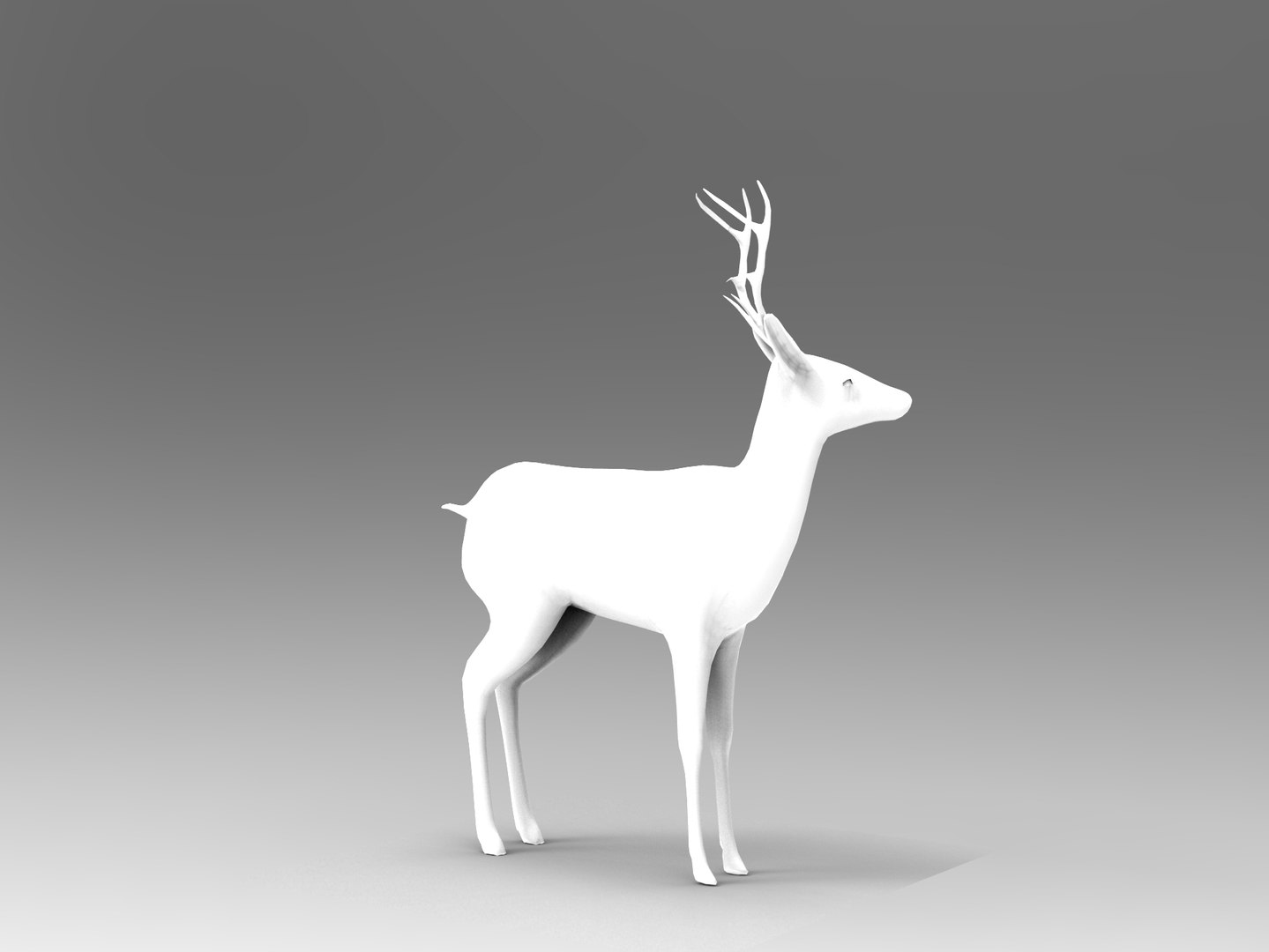 3d deer rigged model https://p.turbosquid.com/ts-thumb/9Y/SWpSoF/d0D0Cu56/deer_rigged.395/jpg/1457418826/1920x1080/fit_q87/6794168c2b04bf7ad9f883617e67d4a5eb2fd928/deer_rigged.395.jpg