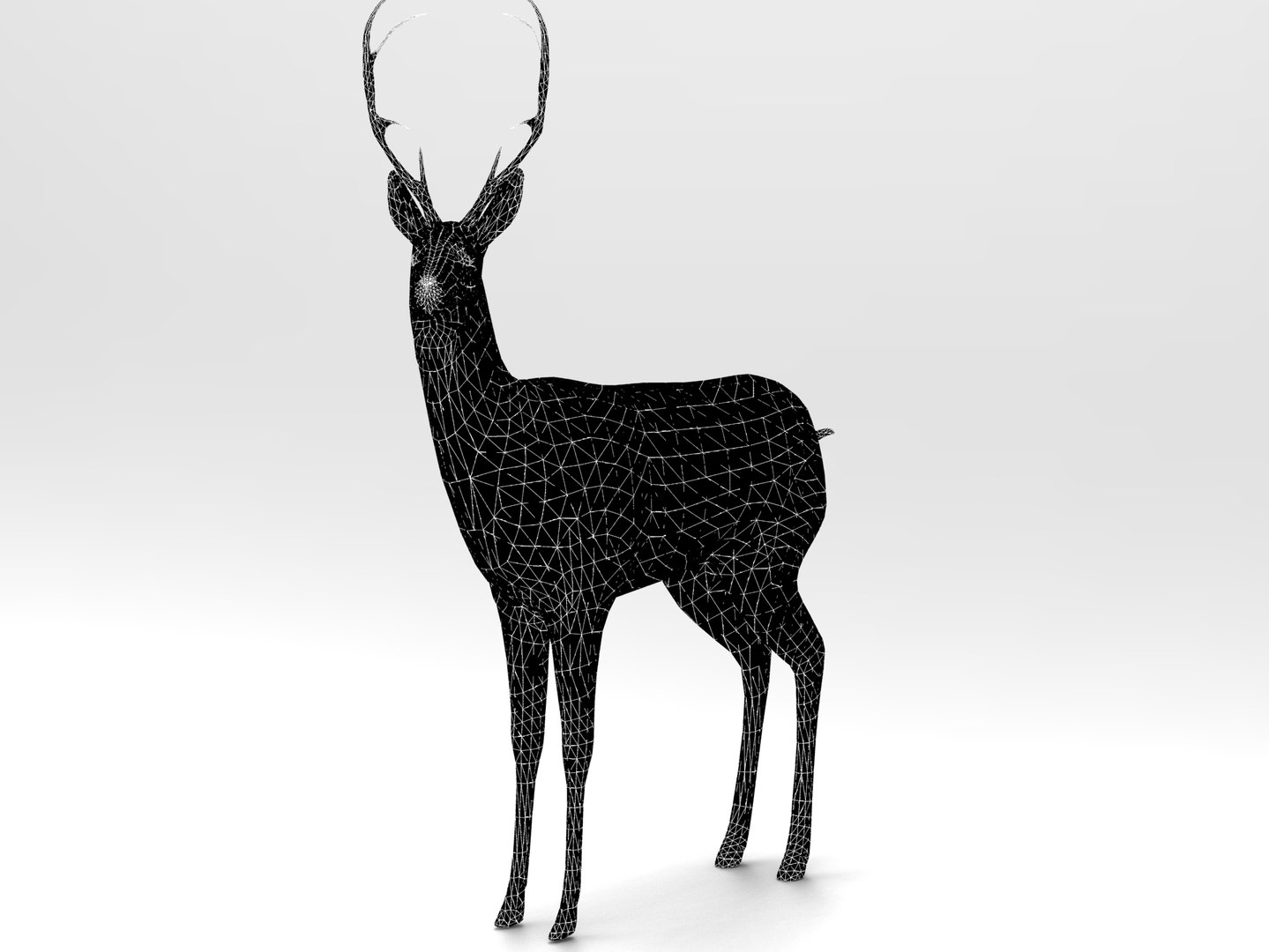 3d deer rigged model https://p.turbosquid.com/ts-thumb/9Y/SWpSoF/xITbRnD0/deer_rigged.398/jpg/1457418826/1920x1080/fit_q87/9eb7444186653d17e4486b8a6c7b2cc29f26736d/deer_rigged.398.jpg