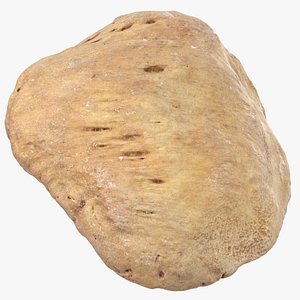 Real Human Patella Bone Kneecap 01