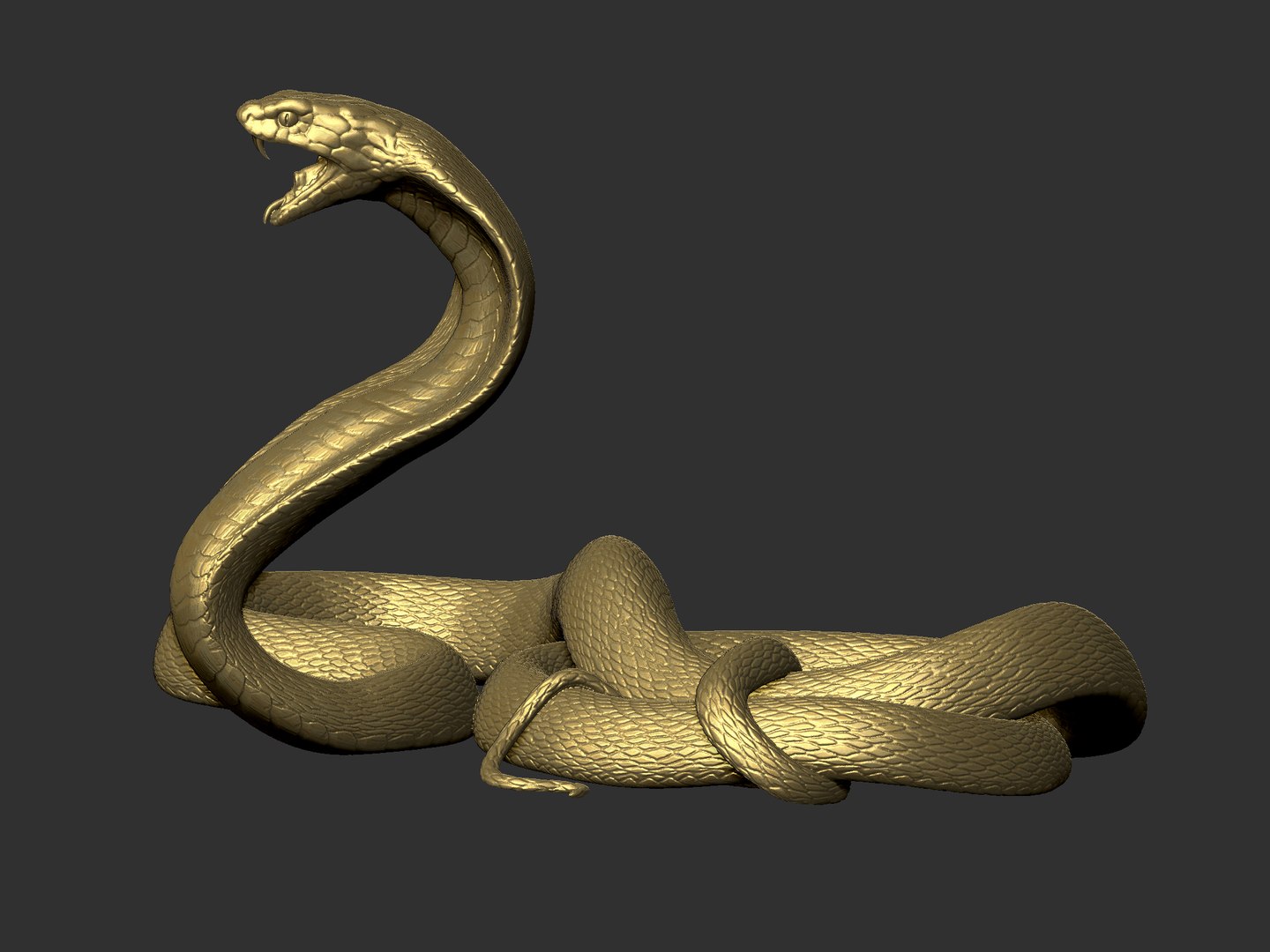 Cobra Snake 3d model Object files free download - modeling 44849 on CadNav