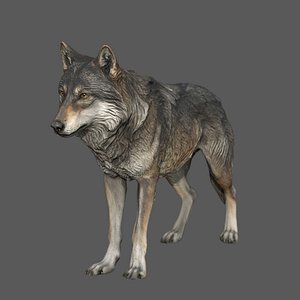 3D Professional Realistic Low Poly Wolf Game-Ready Low-poly 3D