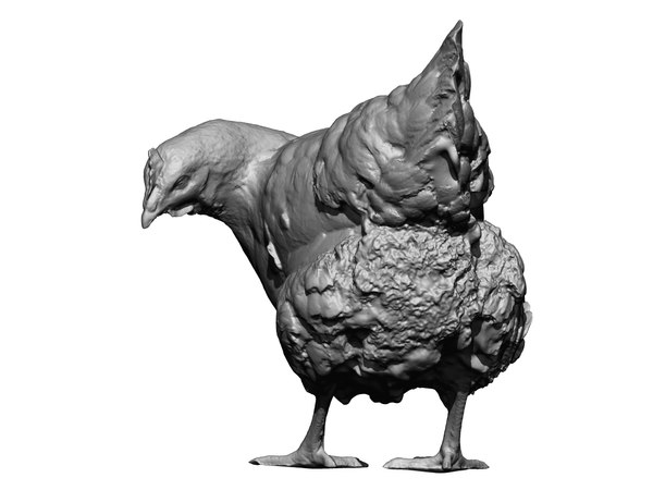 3D real chicken scanned