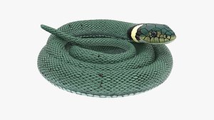 3D Grass Snake Green Rigged for Maya