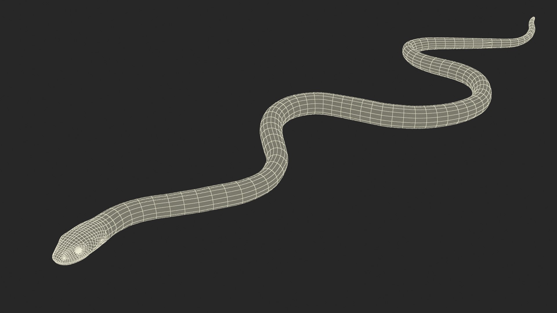 3D Grass Snake Green Rigged for Maya https://p.turbosquid.com/ts-thumb/9Z/0FEVKH/5v/grasssnakegreenriggedformayamb3dmodel027/jpg/1720400928/1920x1080/fit_q87/35b2823ff82cd8c2e91c94f88df37b0a66aafc5f/grasssnakegreenriggedformayamb3dmodel027.jpg