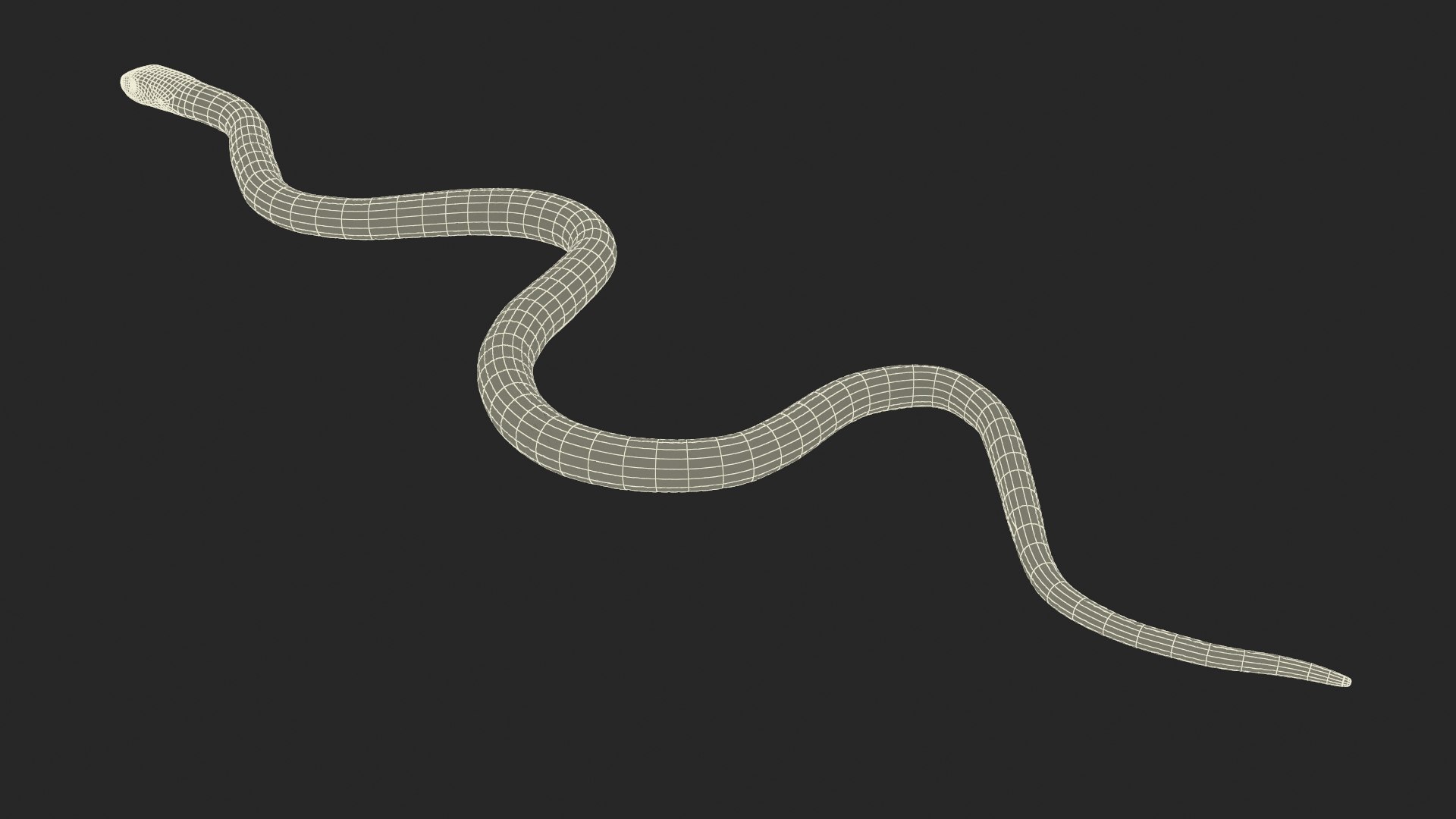 3D Grass Snake Green Rigged for Maya https://p.turbosquid.com/ts-thumb/9Z/0FEVKH/E9/grasssnakegreenriggedformayamb3dmodel028/jpg/1720400932/1920x1080/fit_q87/1192b49032a907f56a495afc27990b49f5ed2558/grasssnakegreenriggedformayamb3dmodel028.jpg