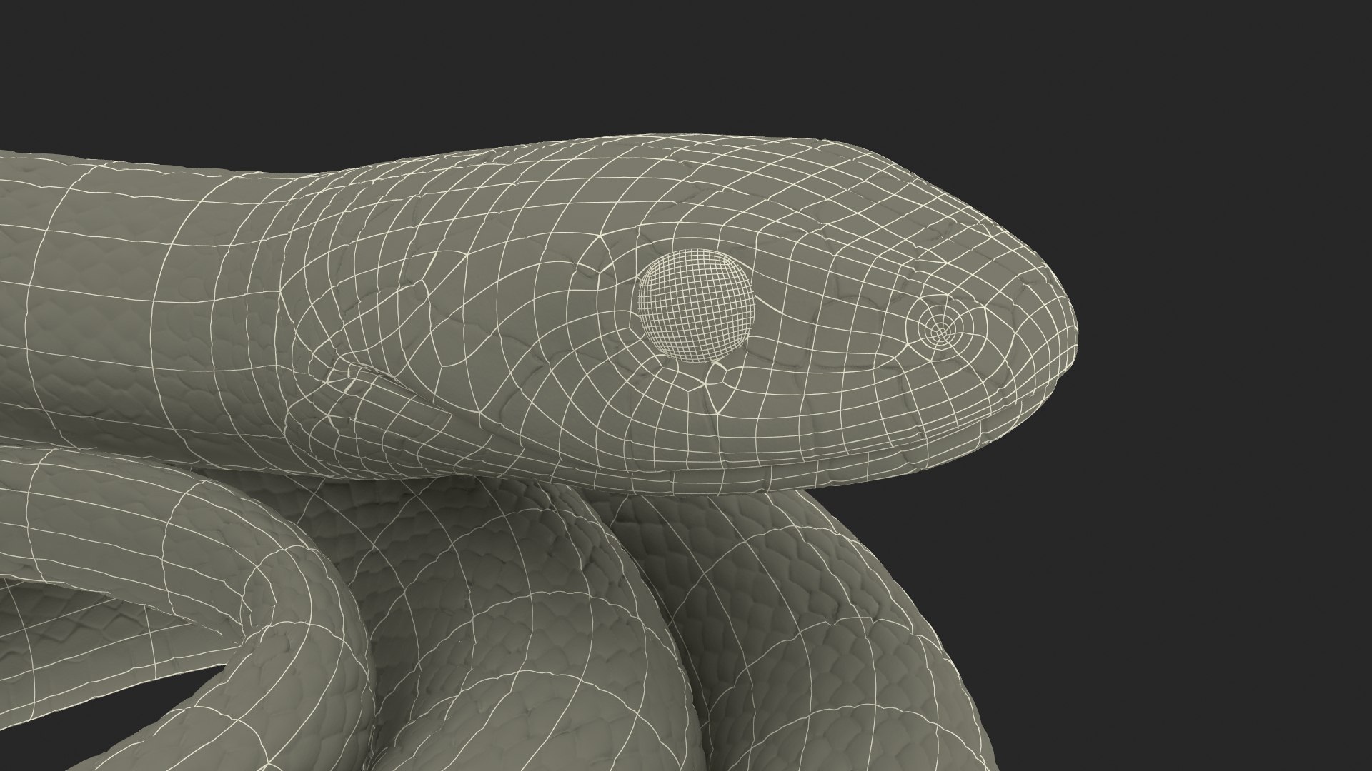 3D Grass Snake Green Rigged for Maya https://p.turbosquid.com/ts-thumb/9Z/0FEVKH/Ly/grasssnakegreenriggedformayamb3dmodel025/jpg/1720400921/1920x1080/fit_q87/4c01525812346c093527786cfbaebf5bdb39a3d4/grasssnakegreenriggedformayamb3dmodel025.jpg