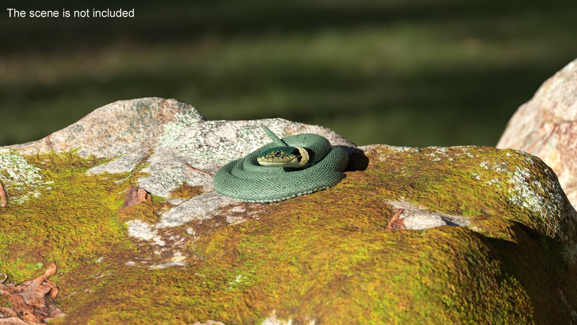 3D Grass Snake Green Rigged for Maya https://p.turbosquid.com/ts-thumb/9Z/0FEVKH/N8/grasssnakegreenriggedformayamb3dmodel004/jpg/1720400833/1920x1080/fit_q87/f73927a0c79e5eda8b6d5d14af442681e8217f45/grasssnakegreenriggedformayamb3dmodel004.jpg