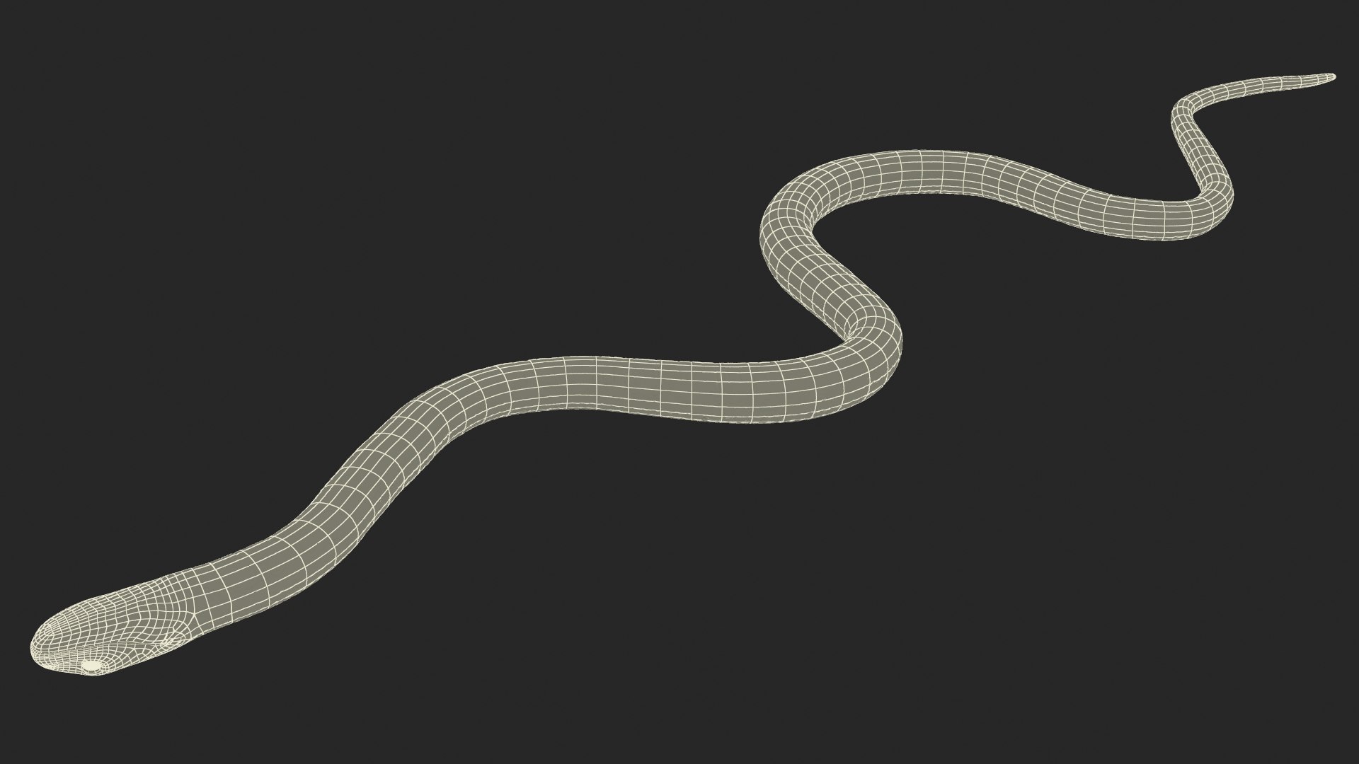 3D Grass Snake Green Rigged for Maya https://p.turbosquid.com/ts-thumb/9Z/0FEVKH/NW/grasssnakegreenriggedformayamb3dmodel031/jpg/1720400945/1920x1080/fit_q87/3053db99ea4a32f2edbd1d695b10b18a76e32ab0/grasssnakegreenriggedformayamb3dmodel031.jpg