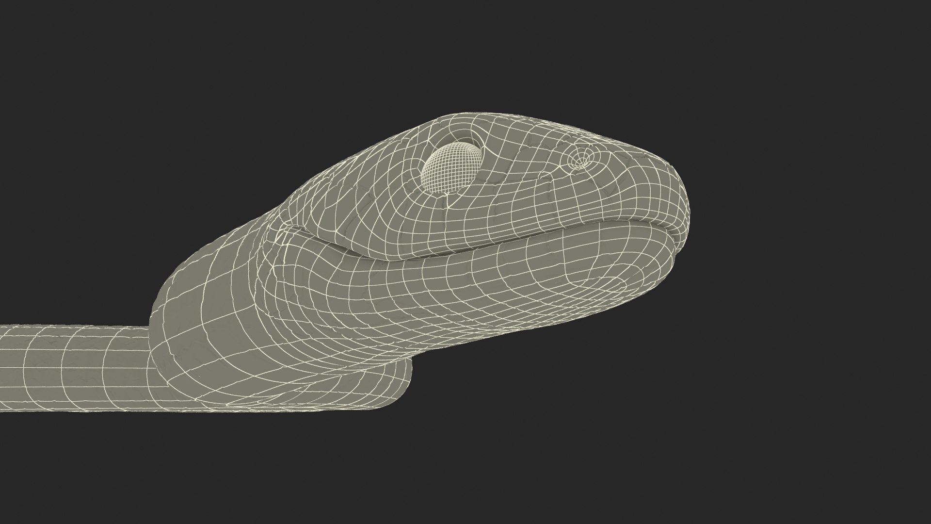 3D Grass Snake Green Rigged for Maya https://p.turbosquid.com/ts-thumb/9Z/0FEVKH/jy/grasssnakegreenriggedformayamb3dmodel029/jpg/1720400936/1920x1080/fit_q87/abfd9c2d57e20137086341a5140d7a94798f2d6b/grasssnakegreenriggedformayamb3dmodel029.jpg