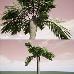 Palm Tree 3D model