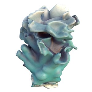 3D model Coral reef 15