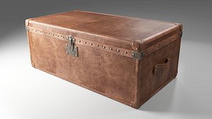 Trunk