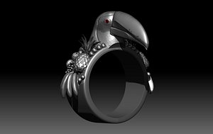 3D toucan ring model